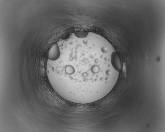 X0000116131203200912141101