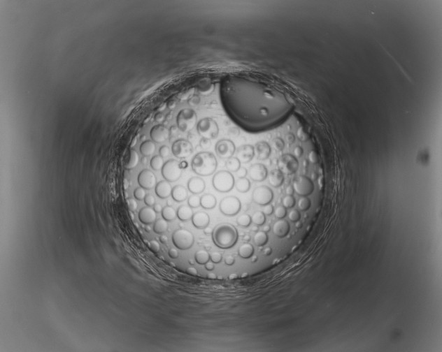X0000116131205200912141101