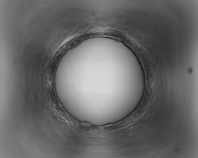 X0000116131206200912141101