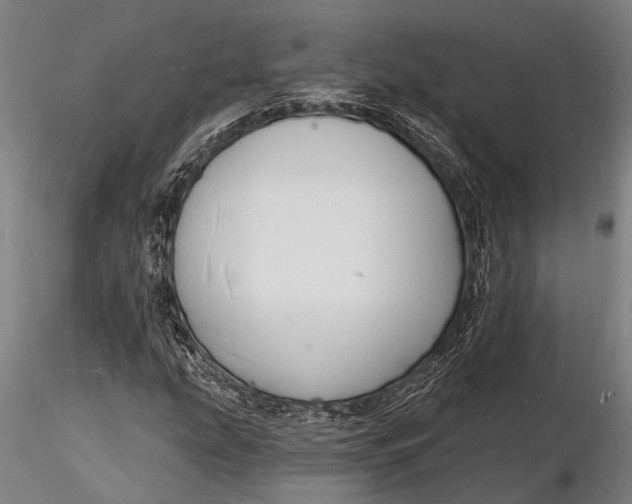 X0000116131207200912141101