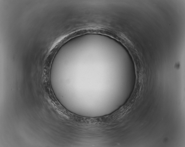 X0000116131208200912141101