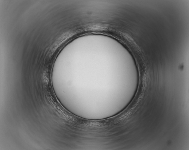 X0000116131209200912141101