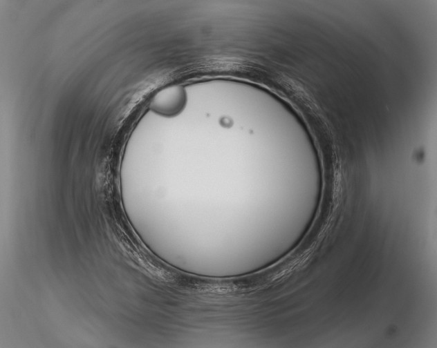 X0000116131210200912141101