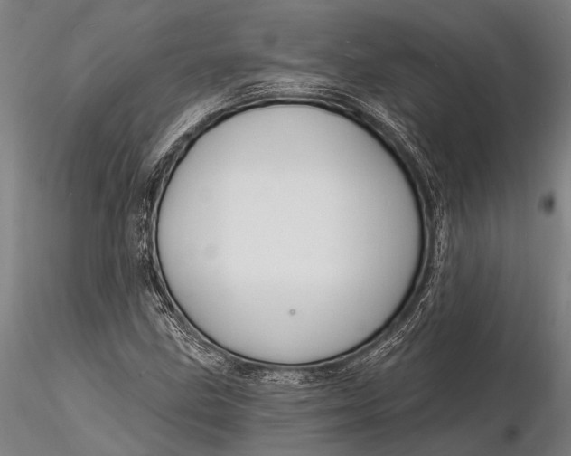 X0000116131211200912141101