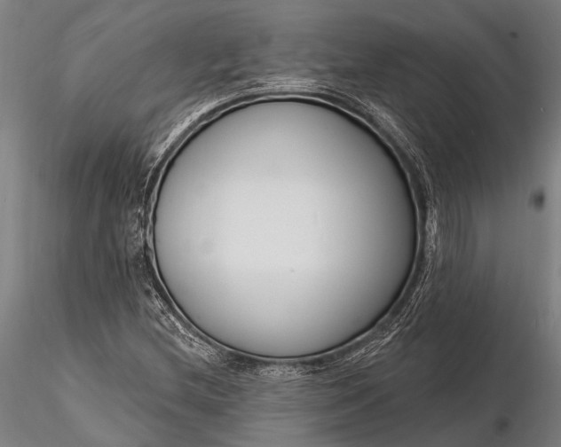 X0000116131212200912141101