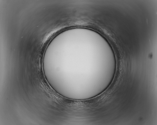 X0000116131214200912141101