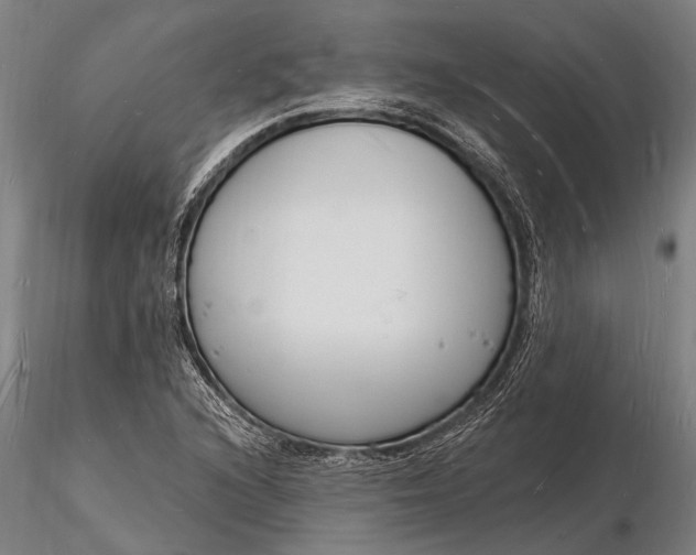 X0000116131216200912141101