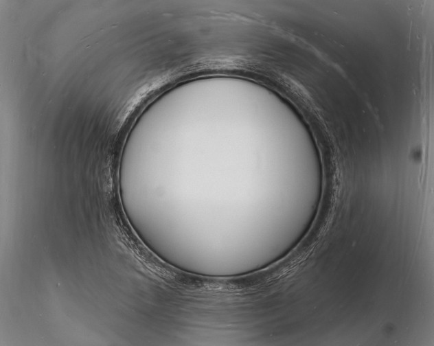 X0000116131218200912141101