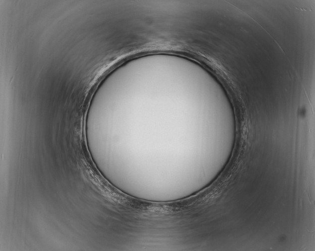 X0000116131220200912141101