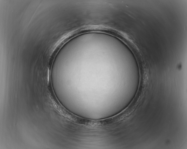 X0000116131221200912141101