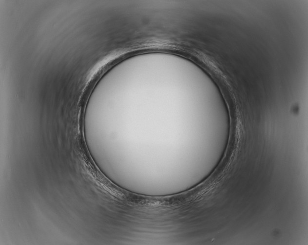 X0000116131222200912141101