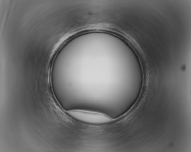 X0000116131224200912141101