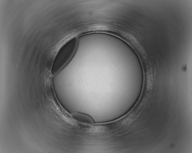 X0000116131225200912141101