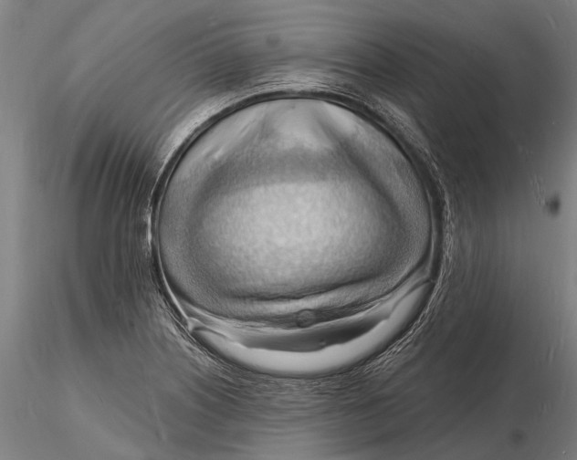 X0000116131226200912141101