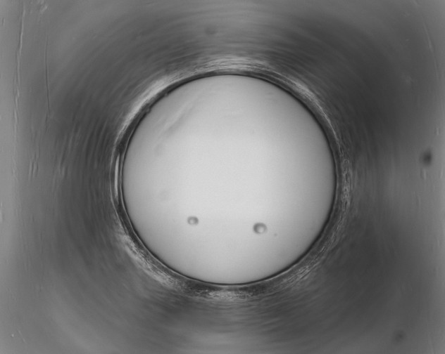 X0000116131227200912141101