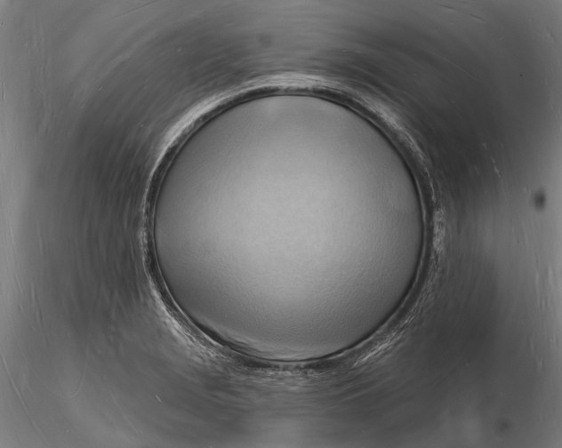 X0000116131229200912141101
