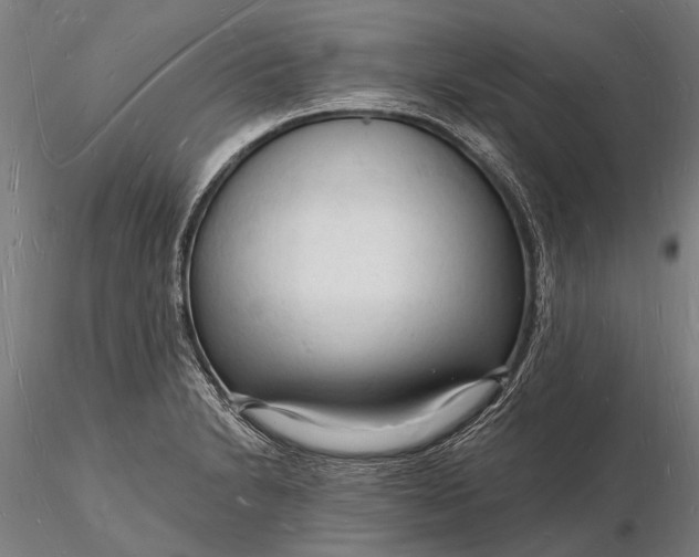 X0000116131230200912141101