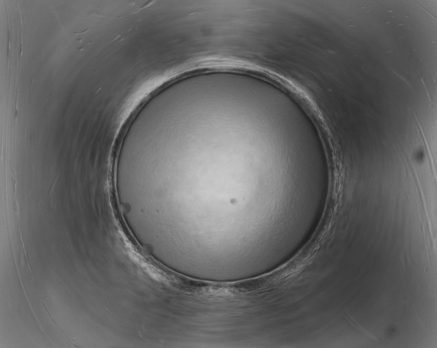 X0000116131231200912141101