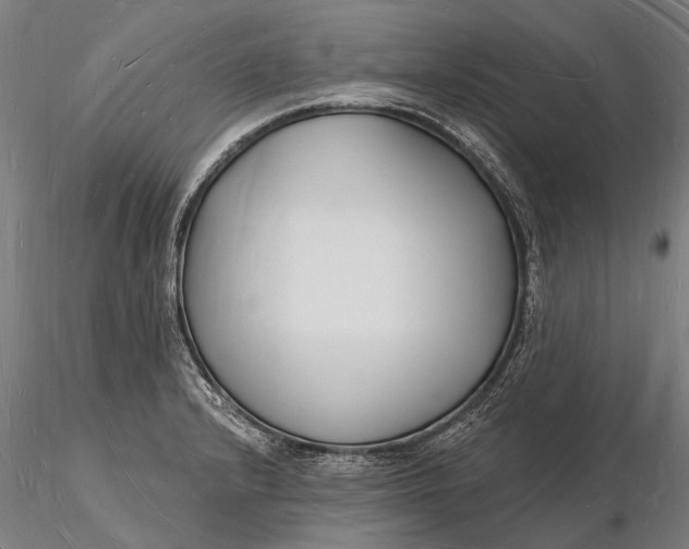 X0000116131232200912141101