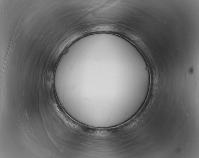 X0000116131233200912141101