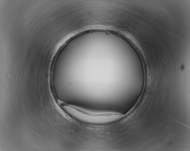 X0000116131237200912141101