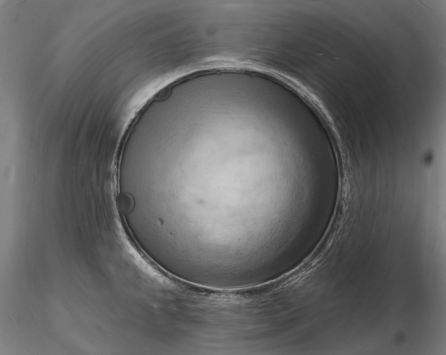 X0000116131239200912141101