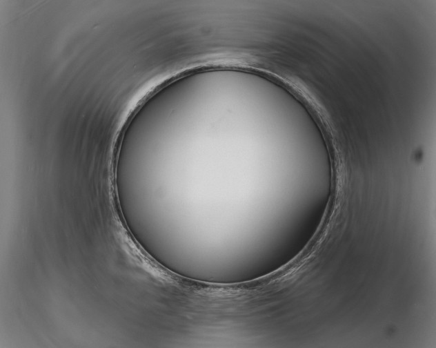 X0000116131240200912141101