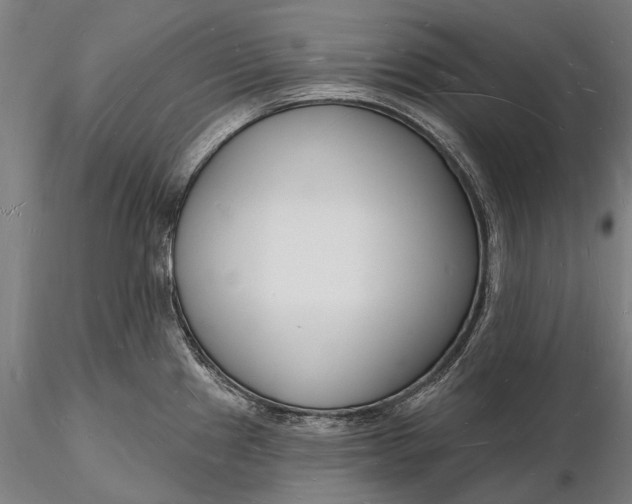 X0000116131241200912141101