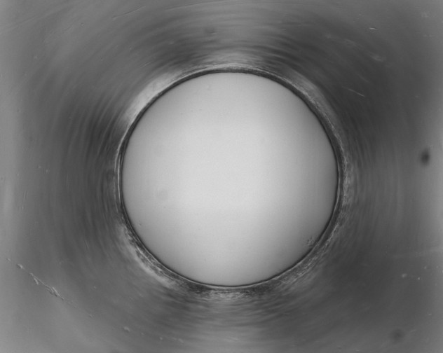 X0000116131242200912141102