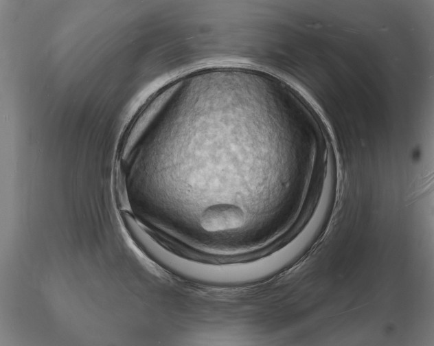 X0000116131245200912141102
