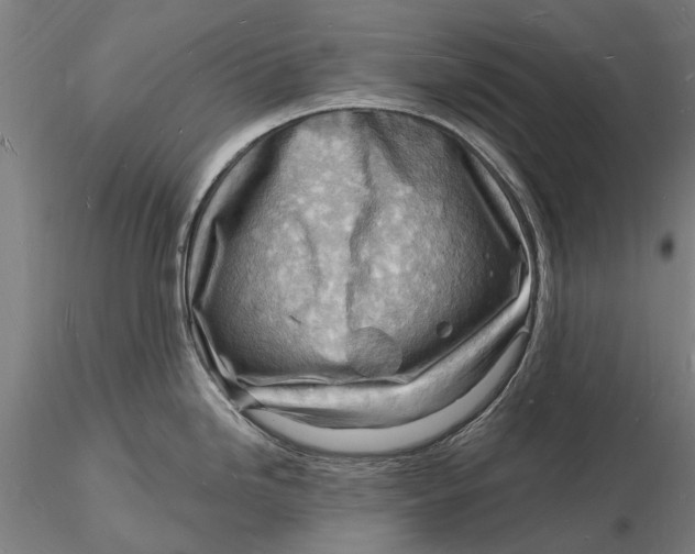X0000116131246200912141102