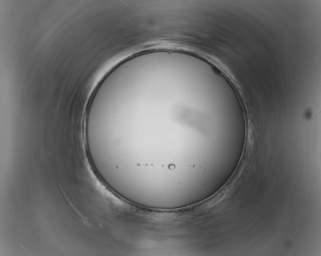 X0000116131247200912141102