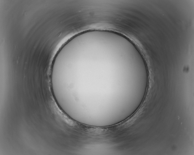 X0000116131248200912141102