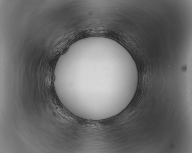 X0000116131250200912141101