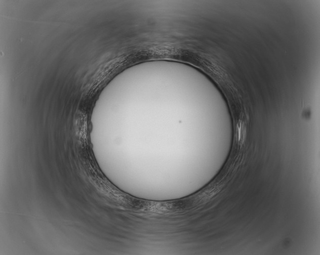 X0000116131251200912141101