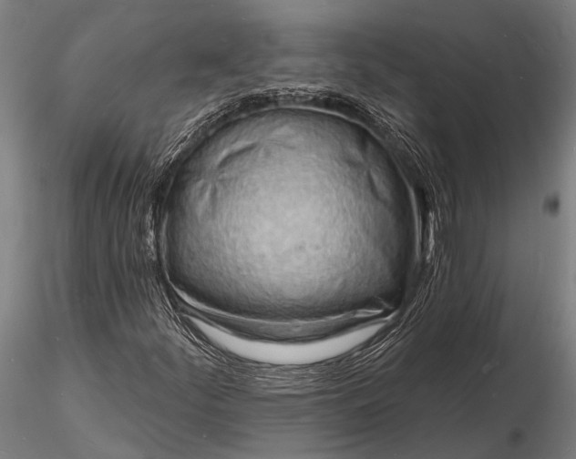 X0000116131252200912141101