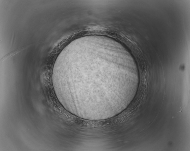 X0000116131254200912141101
