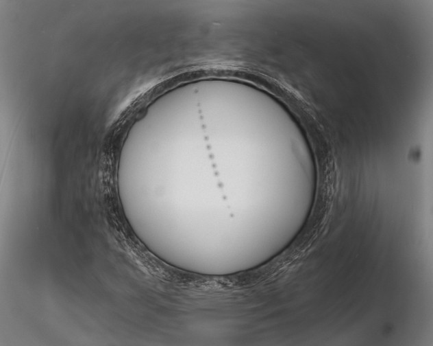 X0000116131255200912141101