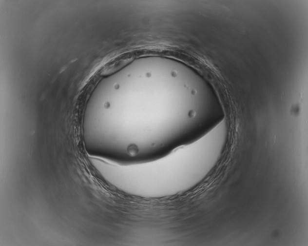 X0000116131256200912141101