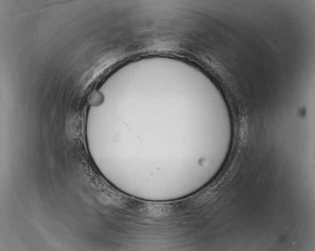 X0000116131258200912141101