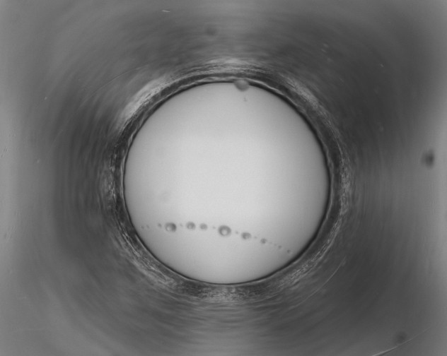 X0000116131259200912141101
