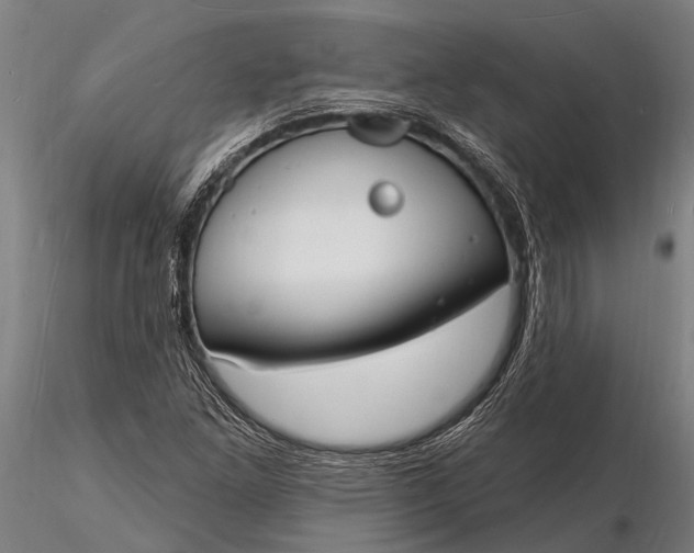 X0000116131261200912141101