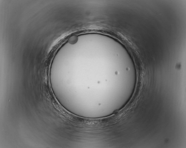 X0000116131262200912141101