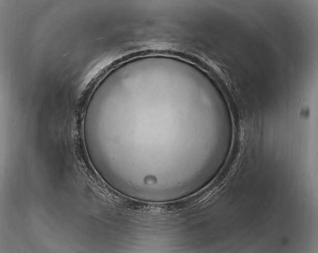 X0000116131263200912141101
