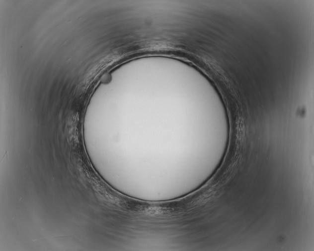 X0000116131265200912141101
