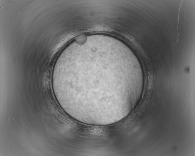 X0000116131266200912141101