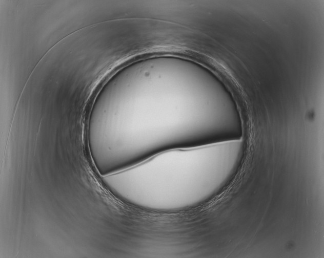 X0000116131268200912141100