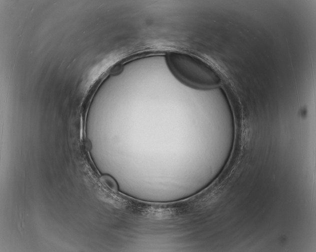 X0000116131269200912141100