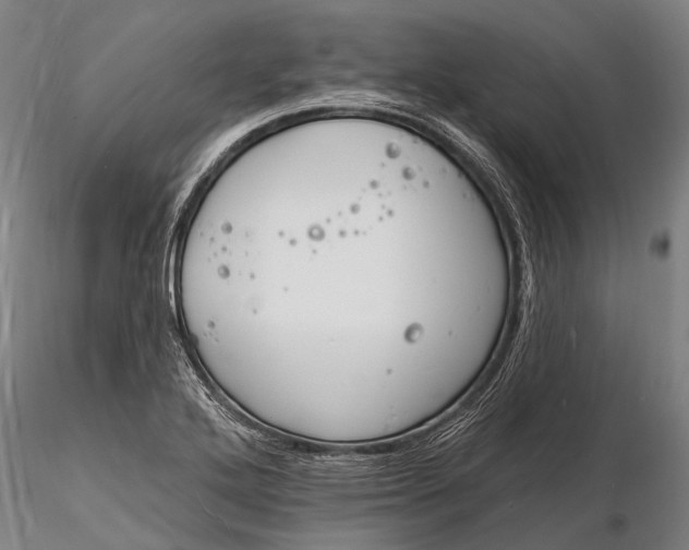 X0000116131272200912141100
