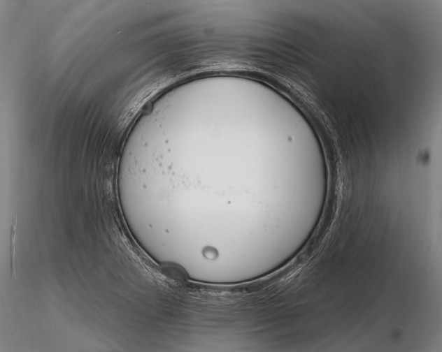 X0000116131273200912141100